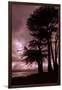 Moonstone Beach Tree Silhouettes-Vincent James-Framed Photographic Print