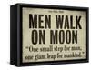 Moonwalk-null-Framed Stretched Canvas