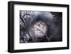 Moonwalker-Fabien Bravin-Framed Photographic Print