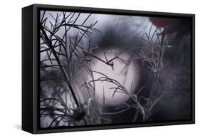 Moonwalker-Fabien Bravin-Framed Stretched Canvas