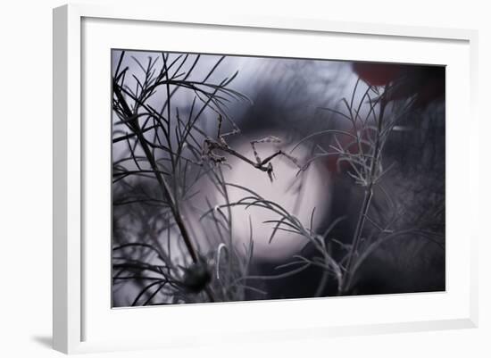 Moonwalker-Fabien Bravin-Framed Photographic Print