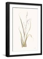 Moor Grass-Chris Paschke-Framed Art Print