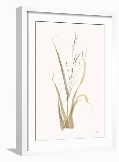 Moor Grass-Chris Paschke-Framed Art Print