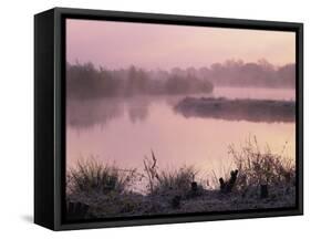 Moor Green Lakes Nature Reserve, Finchamstead, Berkshire, England, UK-Pearl Bucknall-Framed Stretched Canvas