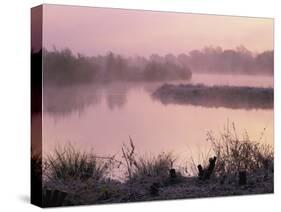 Moor Green Lakes Nature Reserve, Finchamstead, Berkshire, England, UK-Pearl Bucknall-Stretched Canvas