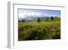 Moor Landscape Soerenberg at the UNESCO Biosphere Entlebuch, Canton of Lucerne, Switzerland-null-Framed Art Print