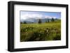 Moor Landscape Soerenberg at the UNESCO Biosphere Entlebuch, Canton of Lucerne, Switzerland-null-Framed Art Print