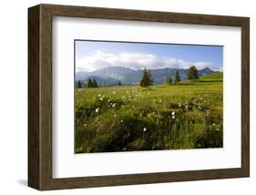 Moor Landscape Soerenberg at the UNESCO Biosphere Entlebuch, Canton of Lucerne, Switzerland-null-Framed Art Print