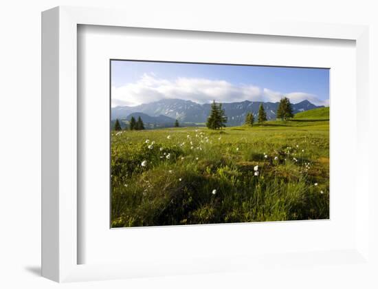 Moor Landscape Soerenberg at the UNESCO Biosphere Entlebuch, Canton of Lucerne, Switzerland-null-Framed Art Print