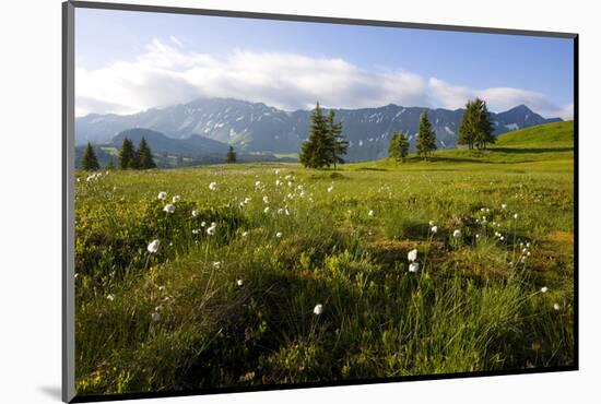 Moor Landscape Soerenberg at the UNESCO Biosphere Entlebuch, Canton of Lucerne, Switzerland-null-Mounted Art Print