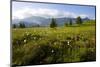 Moor Landscape Soerenberg at the UNESCO Biosphere Entlebuch, Canton of Lucerne, Switzerland-null-Mounted Art Print