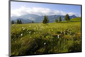 Moor Landscape Soerenberg at the UNESCO Biosphere Entlebuch, Canton of Lucerne, Switzerland-null-Mounted Art Print