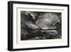 Moore's Lake-null-Framed Giclee Print