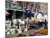 Moore Street Market, Dublin, County Dublin, Eire (Ireland)-Ken Gillham-Mounted Photographic Print
