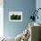 Moore Topiary-Larry Smart-Framed Giclee Print displayed on a wall