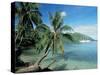 Moorea, Society Islands, French Polynesia-Peter Adams-Stretched Canvas