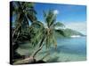 Moorea, Society Islands, French Polynesia-Peter Adams-Stretched Canvas