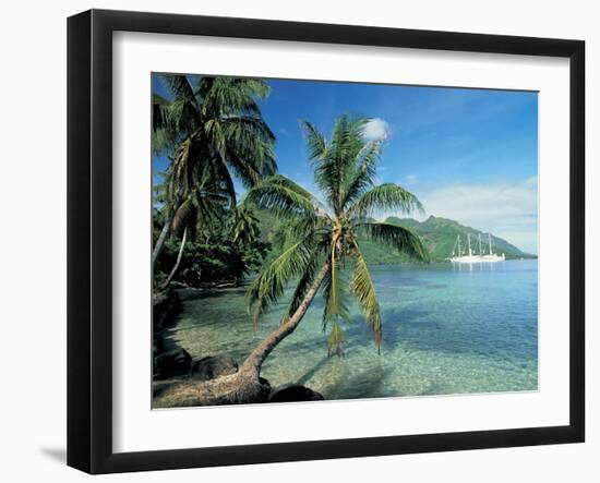 Moorea, Society Islands, French Polynesia-Peter Adams-Framed Premium Photographic Print