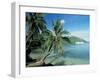 Moorea, Society Islands, French Polynesia-Peter Adams-Framed Premium Photographic Print