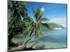 Moorea, Society Islands, French Polynesia-Peter Adams-Mounted Premium Photographic Print