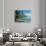 Moorea, Society Islands, French Polynesia-Peter Adams-Premium Photographic Print displayed on a wall