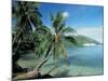 Moorea, Society Islands, French Polynesia-Peter Adams-Mounted Photographic Print