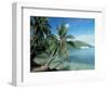 Moorea, Society Islands, French Polynesia-Peter Adams-Framed Photographic Print