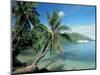 Moorea, Society Islands, French Polynesia-Peter Adams-Mounted Photographic Print