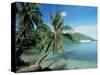 Moorea, Society Islands, French Polynesia-Peter Adams-Stretched Canvas