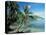 Moorea, Society Islands, French Polynesia-Peter Adams-Stretched Canvas