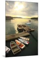 Moored Boats, Acadia National Park, Maine, USA-Stefano Amantini-Mounted Premium Photographic Print