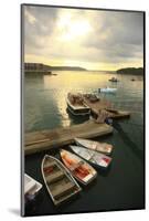 Moored Boats, Acadia National Park, Maine, USA-Stefano Amantini-Mounted Photographic Print