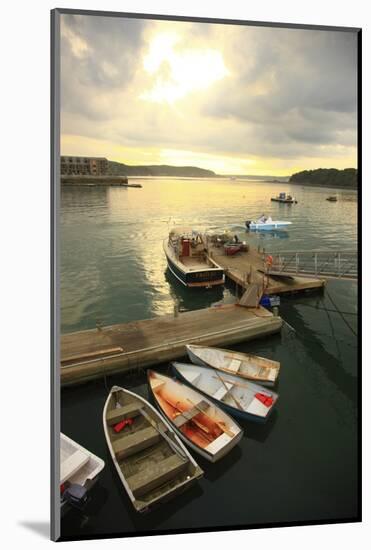 Moored Boats, Acadia National Park, Maine, USA-Stefano Amantini-Mounted Photographic Print