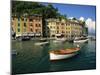 Moored Boats and Architecture of Portofino, Liguria, Italy, Mediterranean, Europe-Howell Michael-Mounted Photographic Print