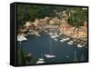 Moored Boats in the Harbour of Portofino, Liguria, Italy, Europe-null-Framed Stretched Canvas