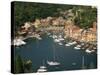 Moored Boats in the Harbour of Portofino, Liguria, Italy, Europe-null-Stretched Canvas