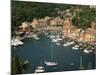 Moored Boats in the Harbour of Portofino, Liguria, Italy, Europe-null-Mounted Photographic Print