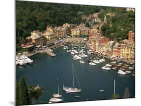 Moored Boats in the Harbour of Portofino, Liguria, Italy, Europe-null-Mounted Photographic Print