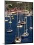 Moored Sailing Boats in Gustavia Harbour, St. Barthelemy, Leeward Islands, West Indies-Ken Gillham-Mounted Photographic Print