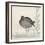 Moorhen-Ohara Koson-Framed Giclee Print