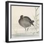 Moorhen-Ohara Koson-Framed Giclee Print