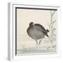 Moorhen-Ohara Koson-Framed Giclee Print