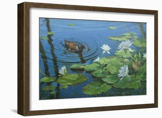 Moorhen-Michael Jackson-Framed Giclee Print