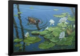 Moorhen-Michael Jackson-Framed Giclee Print