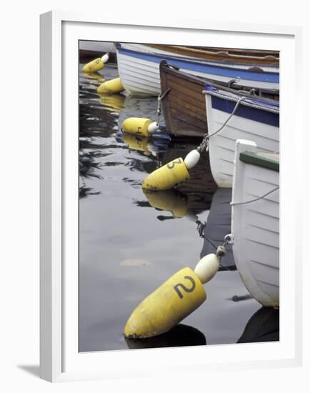 Mooring Buoys at the Center for Wooden Boats, Seattle, Washington, USA-Merrill Images-Framed Premium Photographic Print