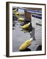 Mooring Buoys at the Center for Wooden Boats, Seattle, Washington, USA-Merrill Images-Framed Premium Photographic Print