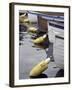 Mooring Buoys at the Center for Wooden Boats, Seattle, Washington, USA-Merrill Images-Framed Premium Photographic Print