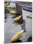 Mooring Buoys at the Center for Wooden Boats, Seattle, Washington, USA-Merrill Images-Mounted Premium Photographic Print