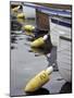 Mooring Buoys at the Center for Wooden Boats, Seattle, Washington, USA-Merrill Images-Mounted Photographic Print