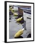 Mooring Buoys at the Center for Wooden Boats, Seattle, Washington, USA-Merrill Images-Framed Photographic Print